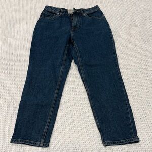 Classic Everlane Curvy Cheeky Crop Denim